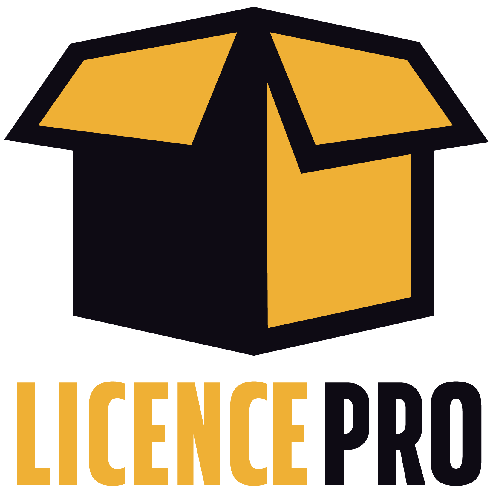 LicencePro iconlogo